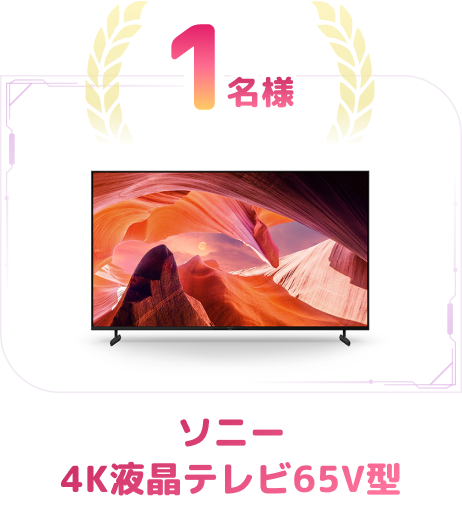 1名様 ソニー 4K液晶テレビ65V型